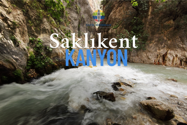 kalkan safari turu
